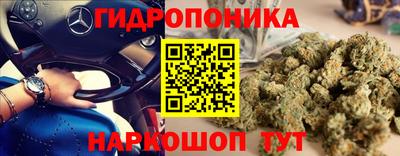 шишки Вышний Волочёк