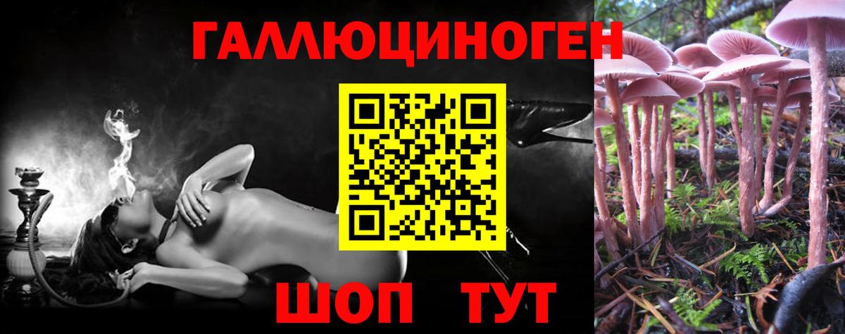 Псилоцибиновые грибы мухоморы Асбест