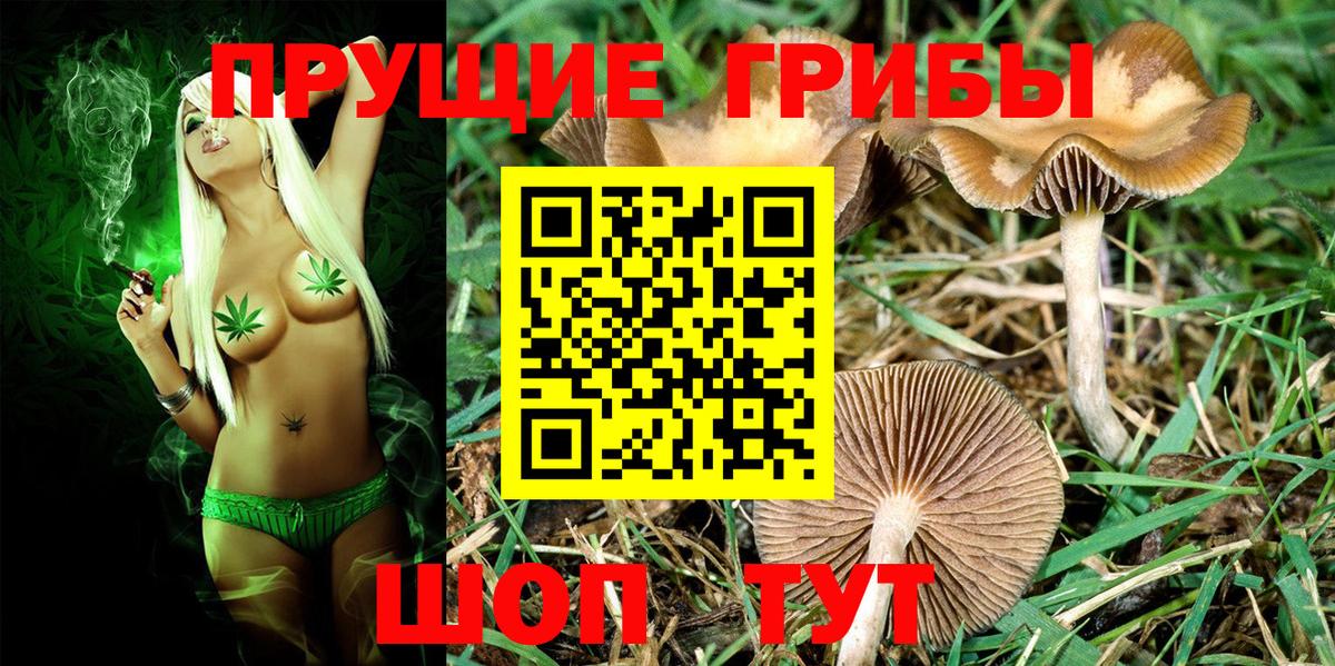Асбест  Галлюциногенные грибы GOLDEN TEACHER  Вход с VPN 